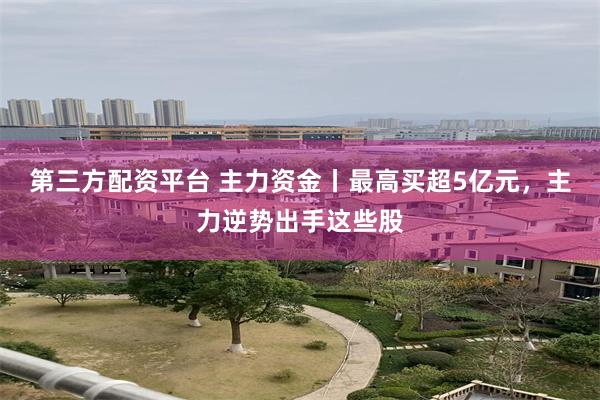 第三方配资平台 主力资金丨最高买超5亿元，主力逆势出手这些股