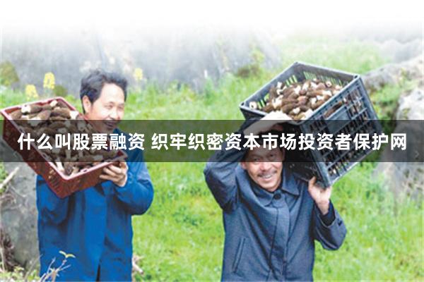 什么叫股票融资 织牢织密资本市场投资者保护网