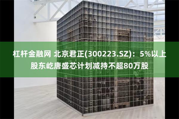 杠杆金融网 北京君正(300223.SZ)：5%以上股东屹唐盛芯计划减持不超80万股