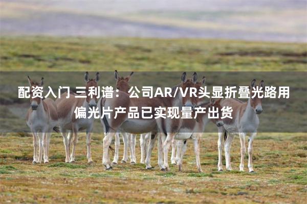 配资入门 三利谱：公司AR/VR头显折叠光路用偏光片产品已实现量产出货