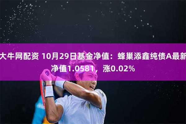 大牛网配资 10月29日基金净值：蜂巢添鑫纯债A最新净值1.0581，涨0.02%
