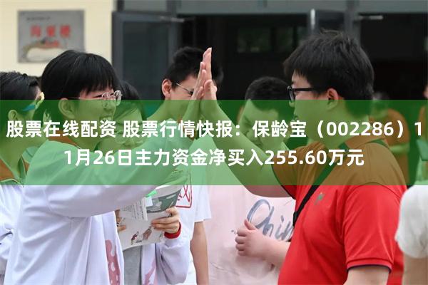股票在线配资 股票行情快报：保龄宝（002286）11月26日主力资金净买入255.60万元