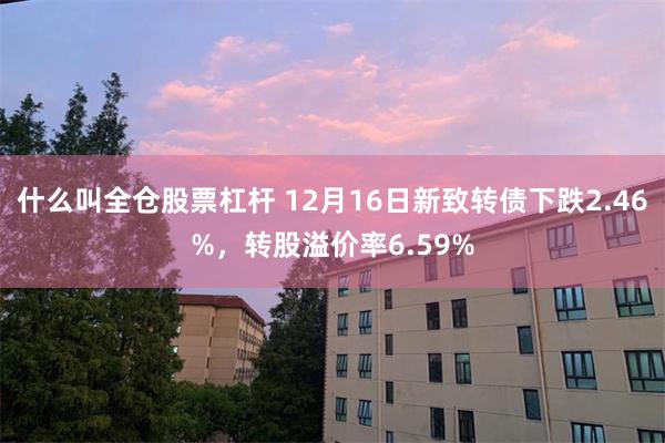 什么叫全仓股票杠杆 12月16日新致转债下跌2.46%，转股溢价率6.59%