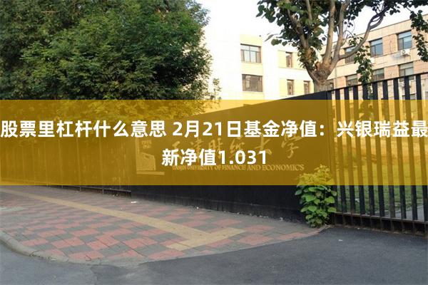 股票里杠杆什么意思 2月21日基金净值：兴银瑞益最新净值1.031