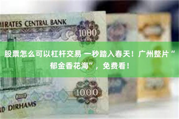 股票怎么可以杠杆交易 一秒踏入春天！广州整片“郁金香花海”，免费看！