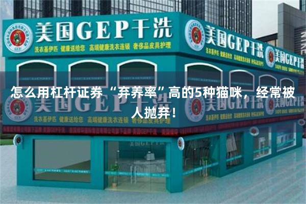 怎么用杠杆证券 “弃养率”高的5种猫咪，经常被人抛弃！