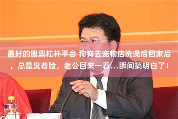 最好的股票杠杆平台 狗狗去宠物店洗澡后回家后，总是臭着脸，老公回来一看…瞬间搞明白了！