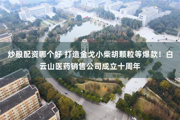 炒股配资哪个好 打造金戈小柴胡颗粒等爆款！白云山医药销售公司