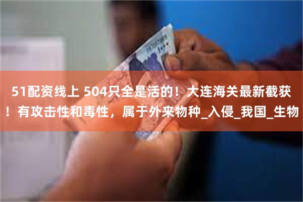 51配资线上 504只全是活的！大连海关最新截获！有攻击性和