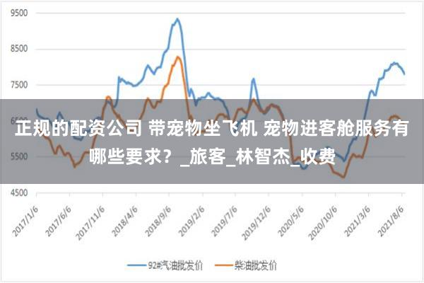 正规的配资公司 带宠物坐飞机 宠物进客舱服务有哪些要求？_旅