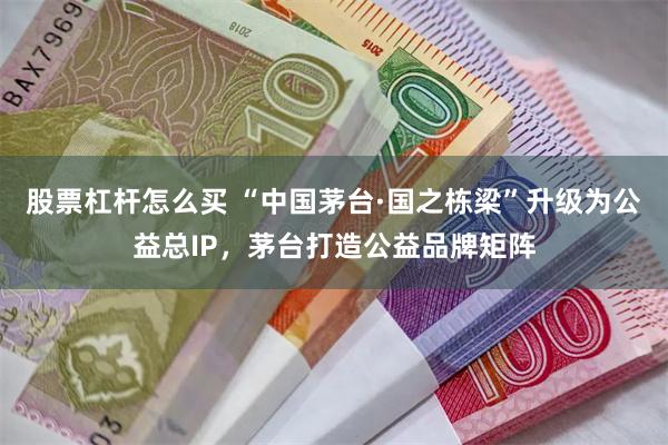 股票杠杆怎么买 “中国茅台·国之栋梁”升级为公益总IP，茅台