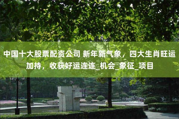 中国十大股票配资公司 新年新气象，四大生肖旺运加持，收获好运