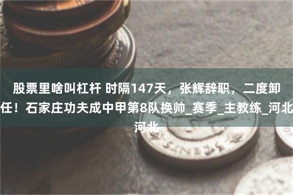 股票里啥叫杠杆 时隔147天，张辉辞职，二度卸任！石家庄功夫