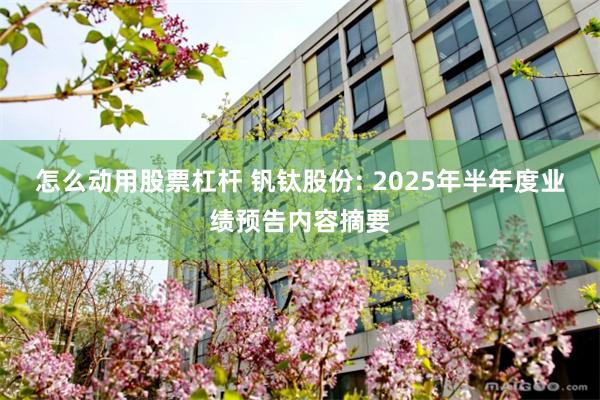 怎么动用股票杠杆 钒钛股份: 2025年半年度业绩预告内容摘
