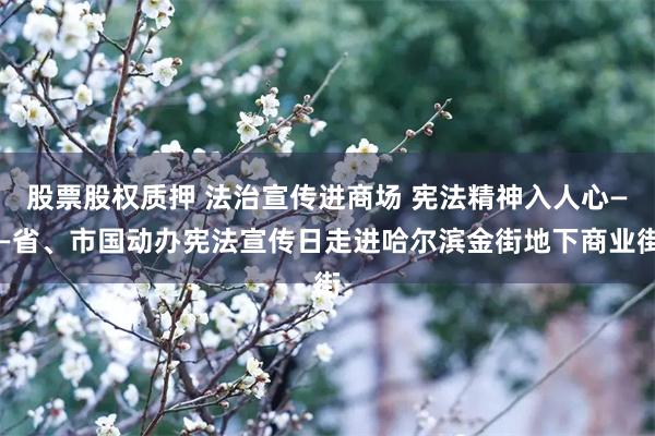 股票股权质押 法治宣传进商场 宪法精神入人心——省、市国动办