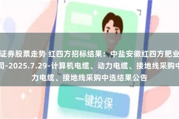 证券股票走势 红四方招标结果：中盐安徽红四方肥业股份有限公司